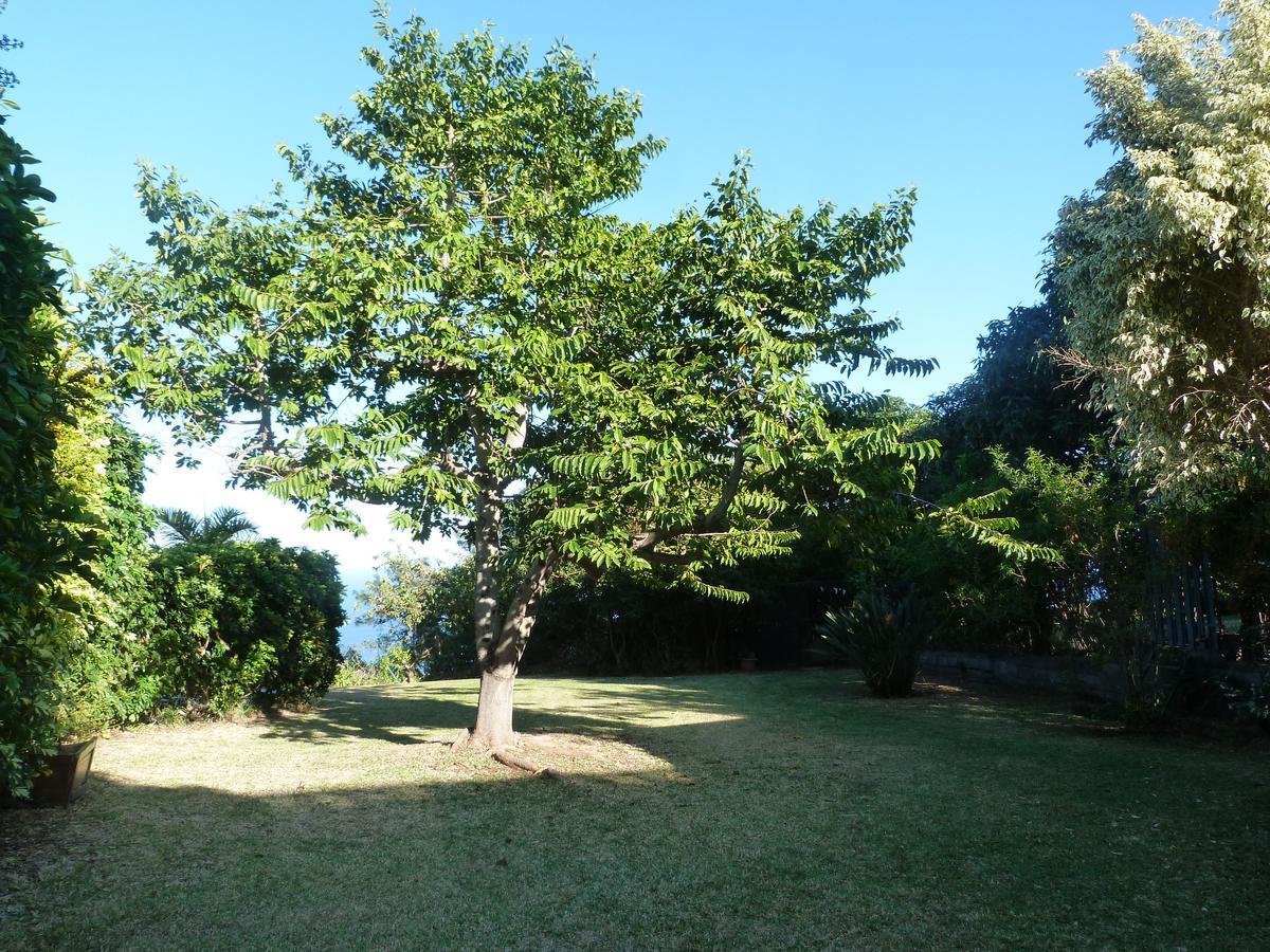 Villa Flamboyant Le Portail Bagian luar foto